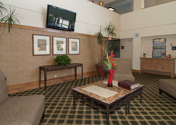 H I Express & Suites San Antonio Medical-Six Flags Exterior photo